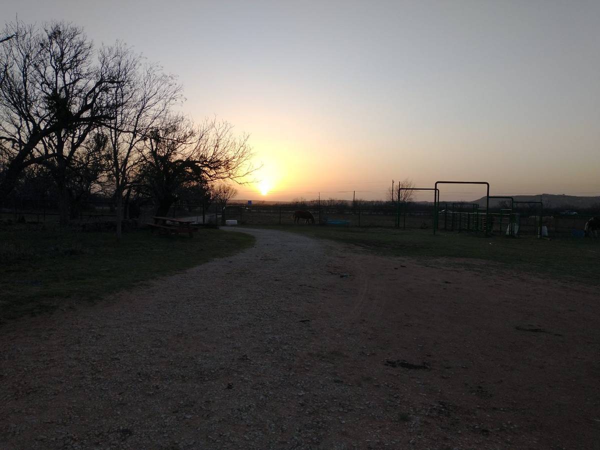 TX