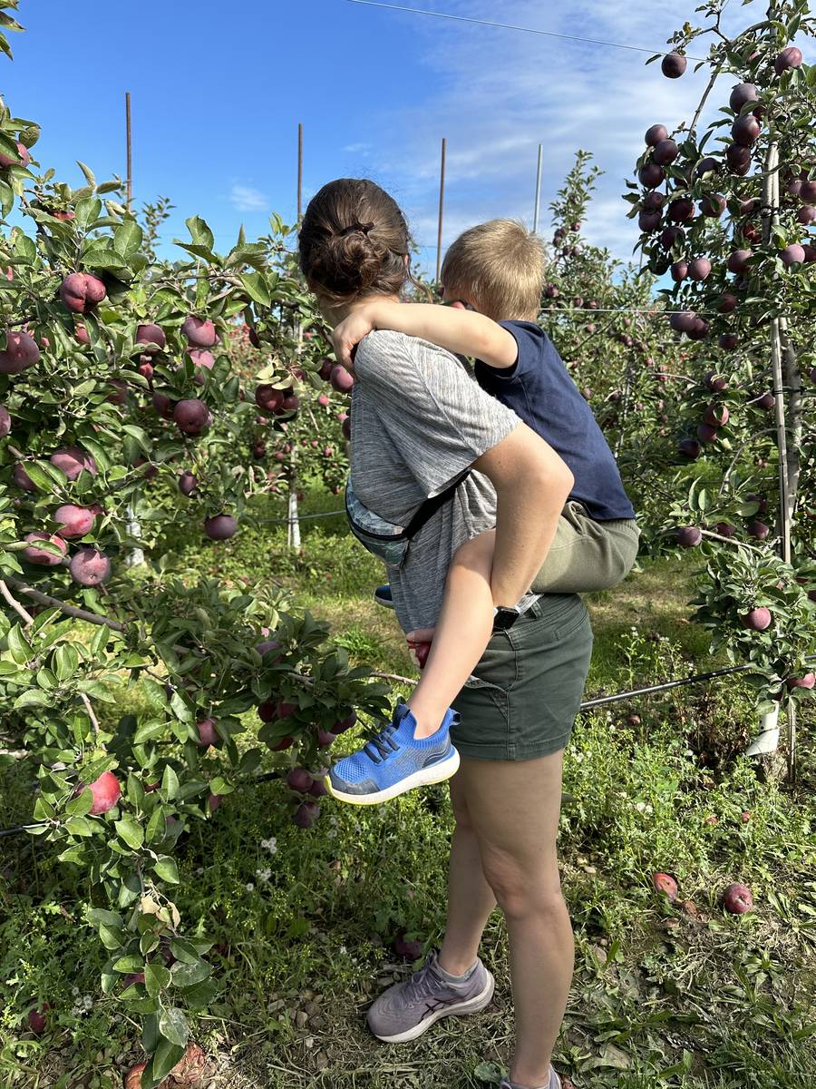 Apple Picking