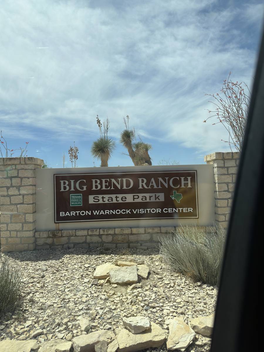 TX