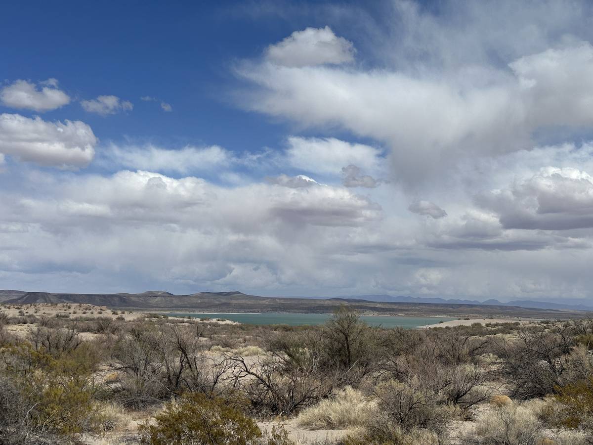 NM