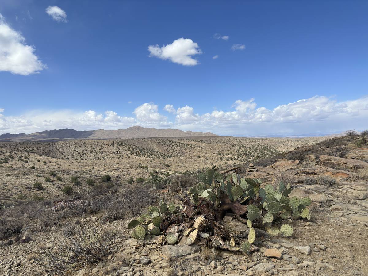 NM