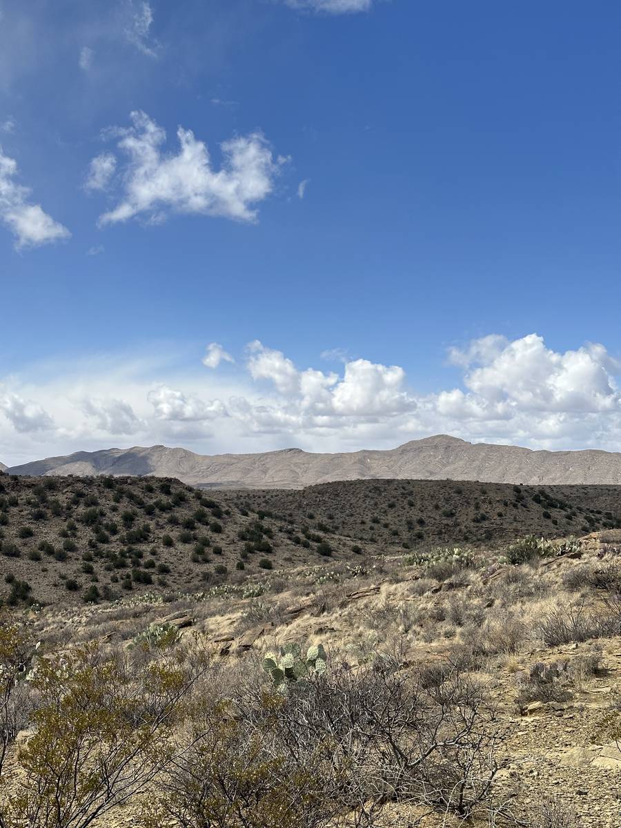 NM