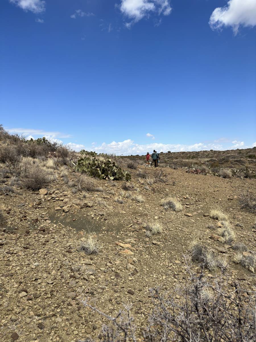 NM