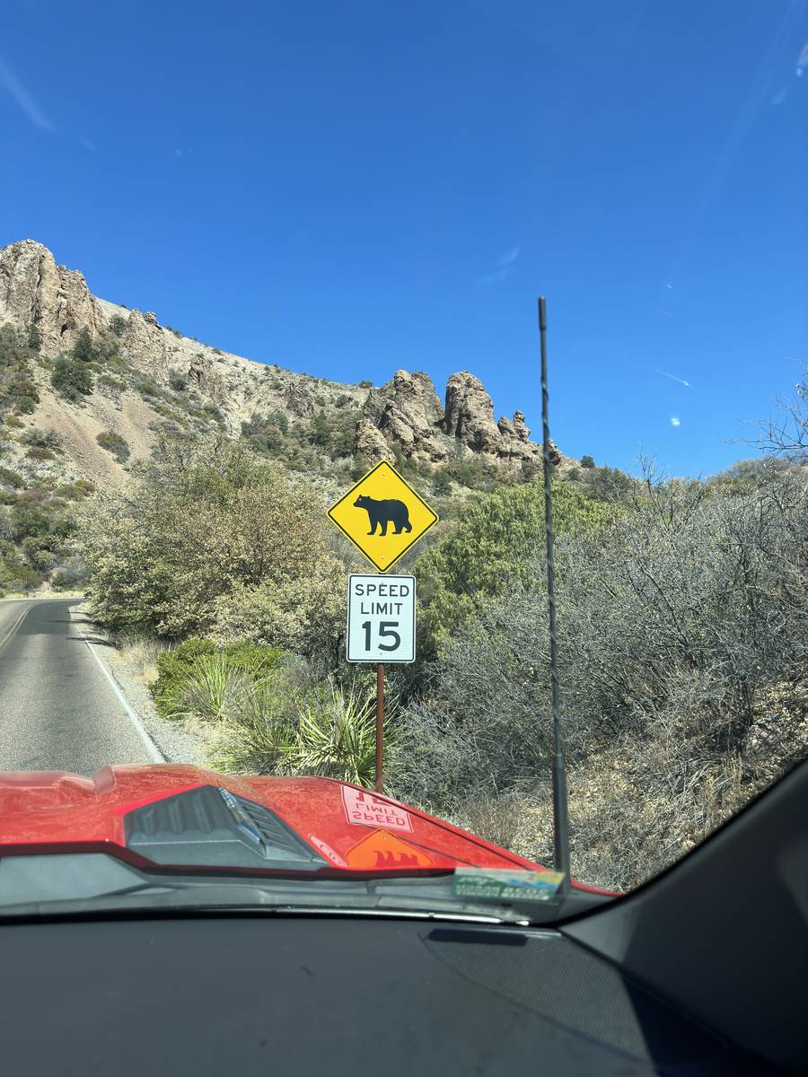 TX