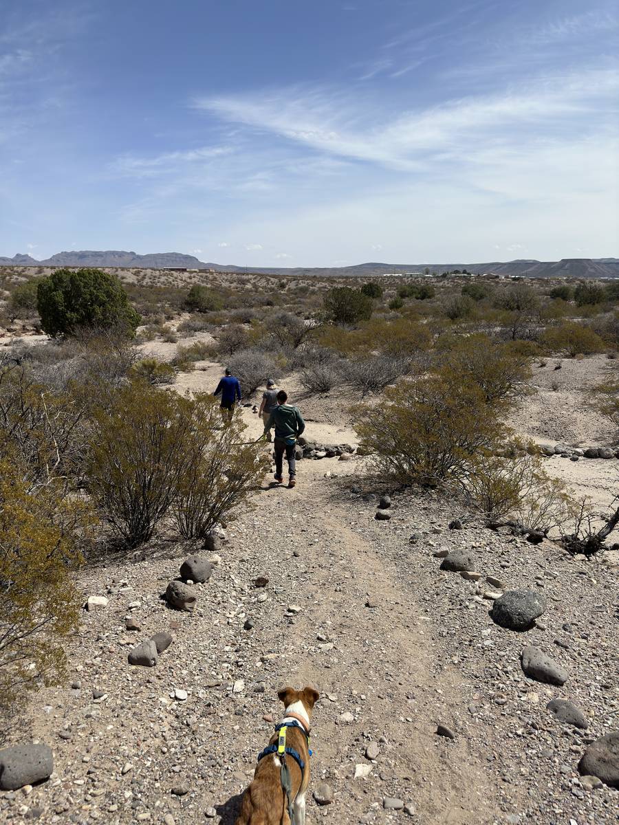 NM