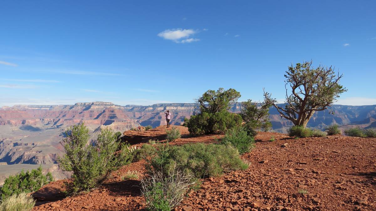 AZ