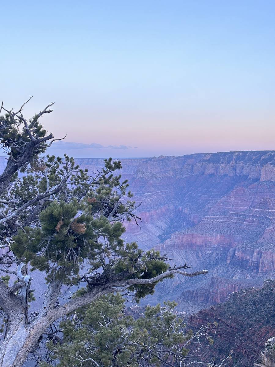 AZ
