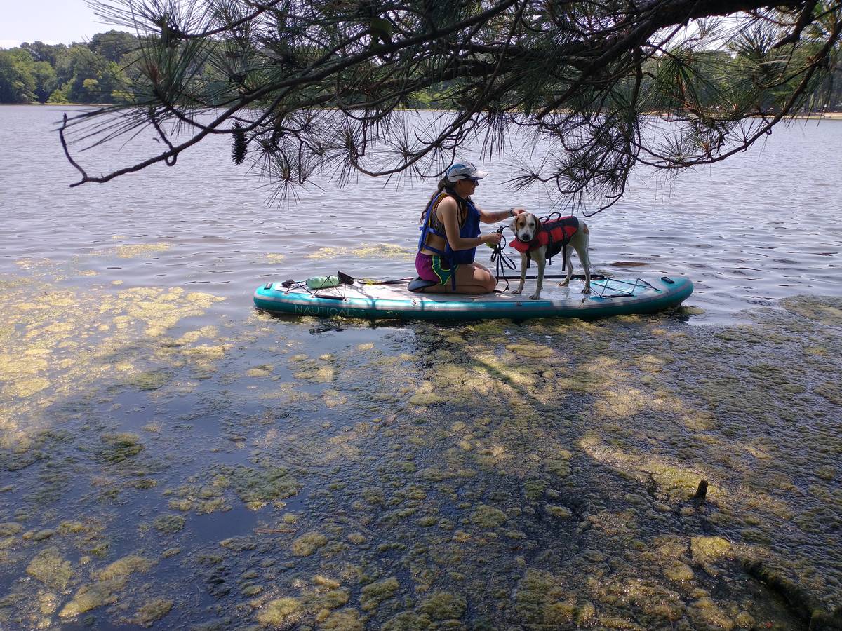 Paddling