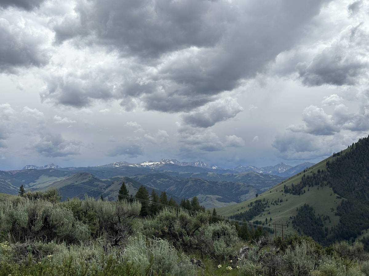 Snowy mountain tops in the distance
