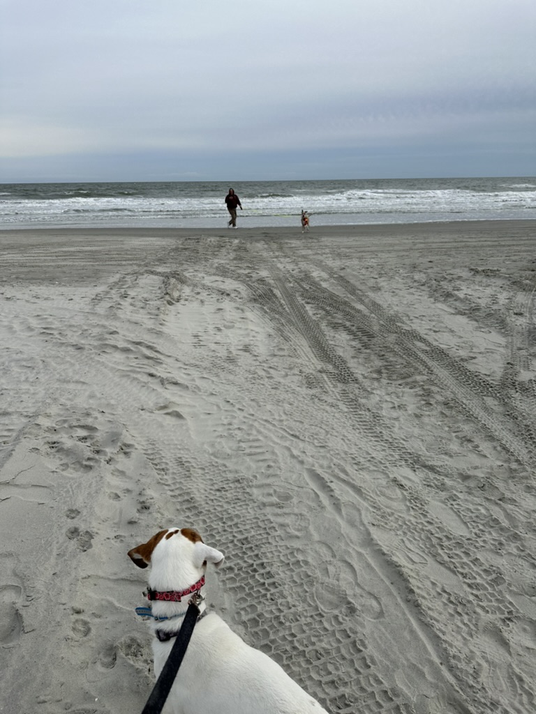 Luna on beach