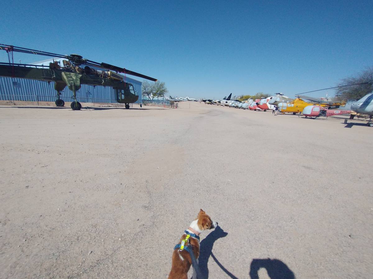 AZ