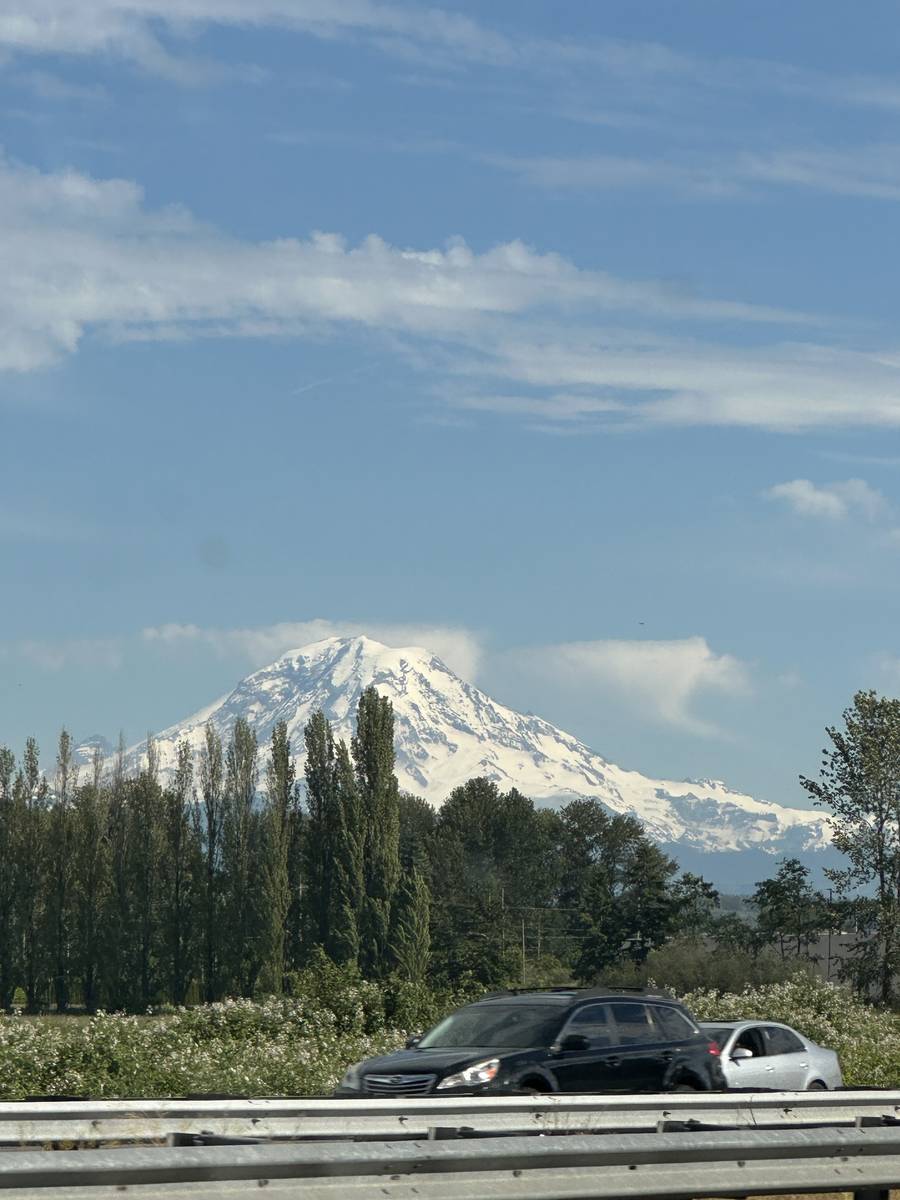 Mt Rainier