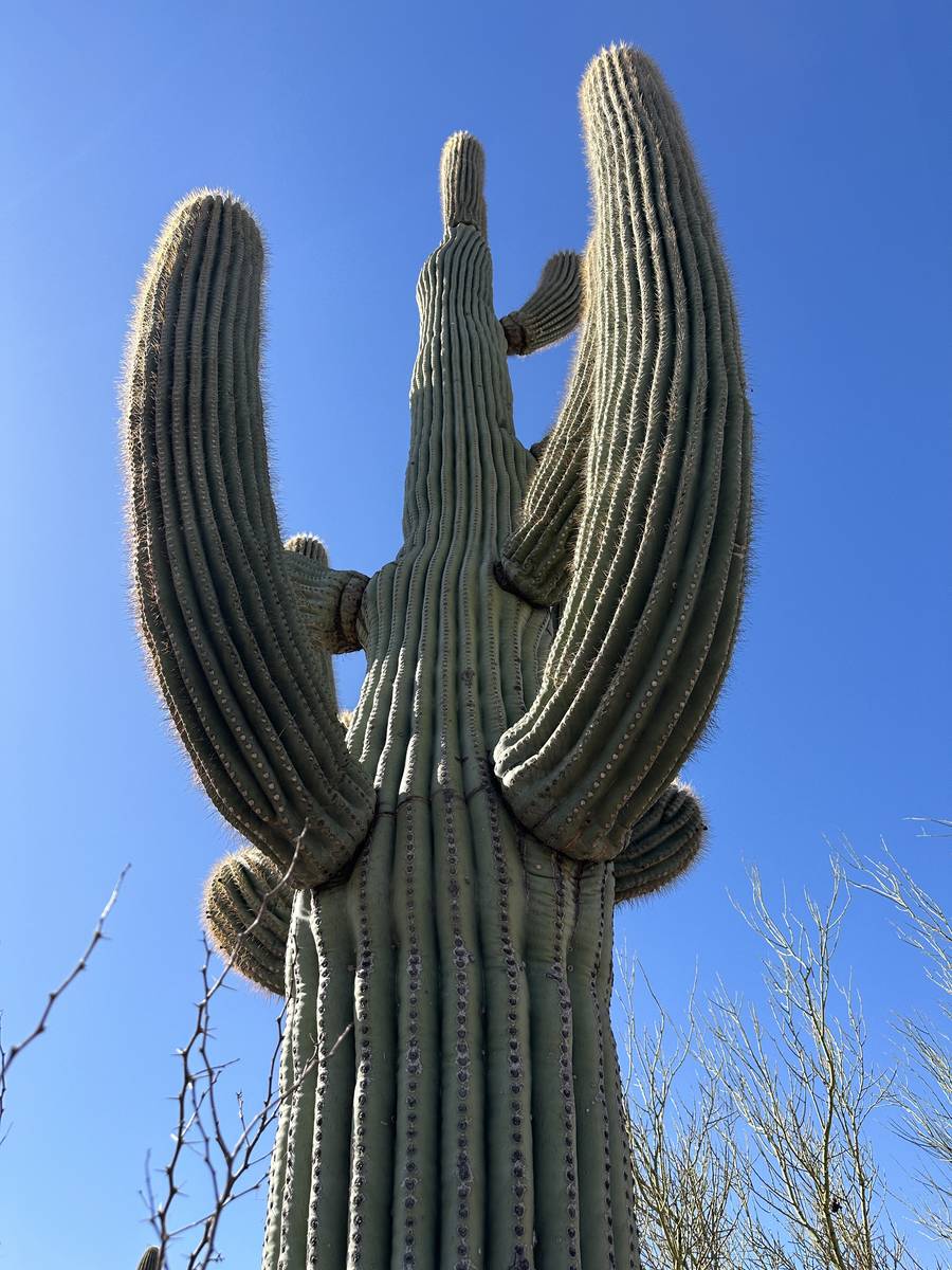 AZ