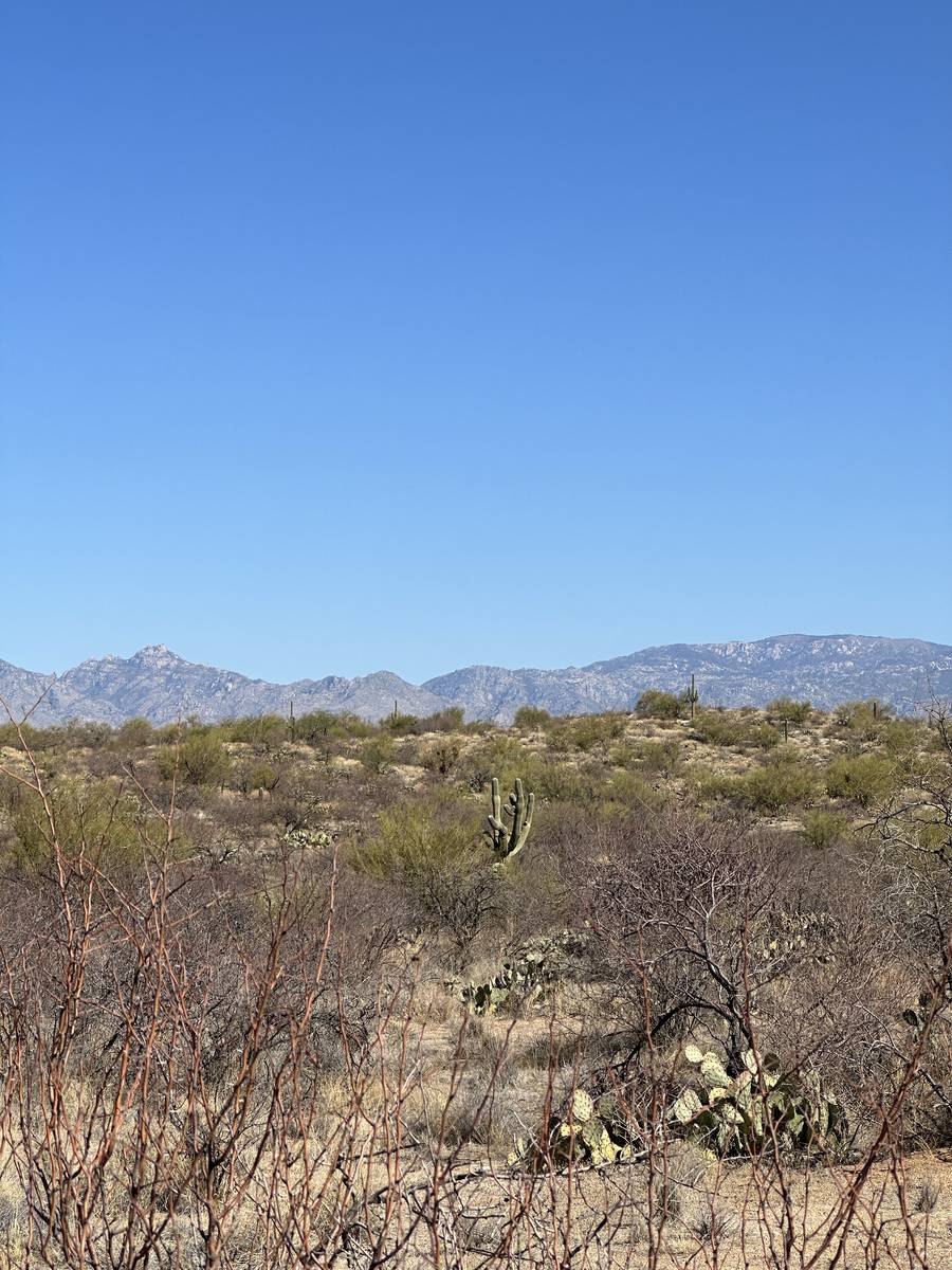 AZ