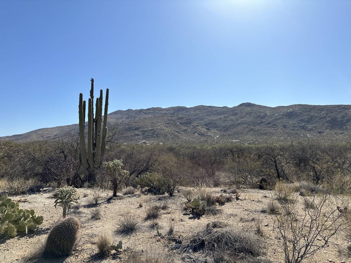AZ