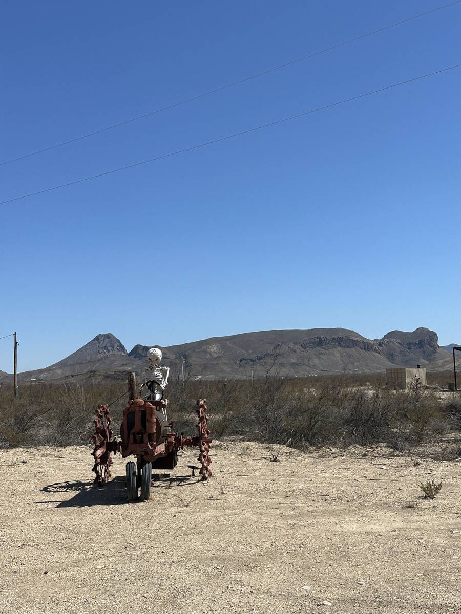 TX