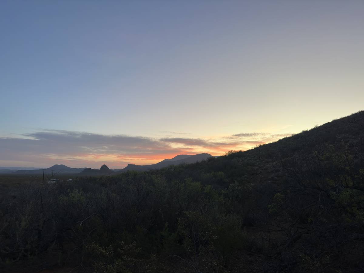 TX