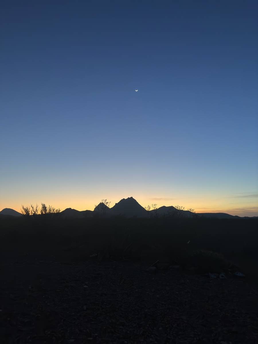 TX