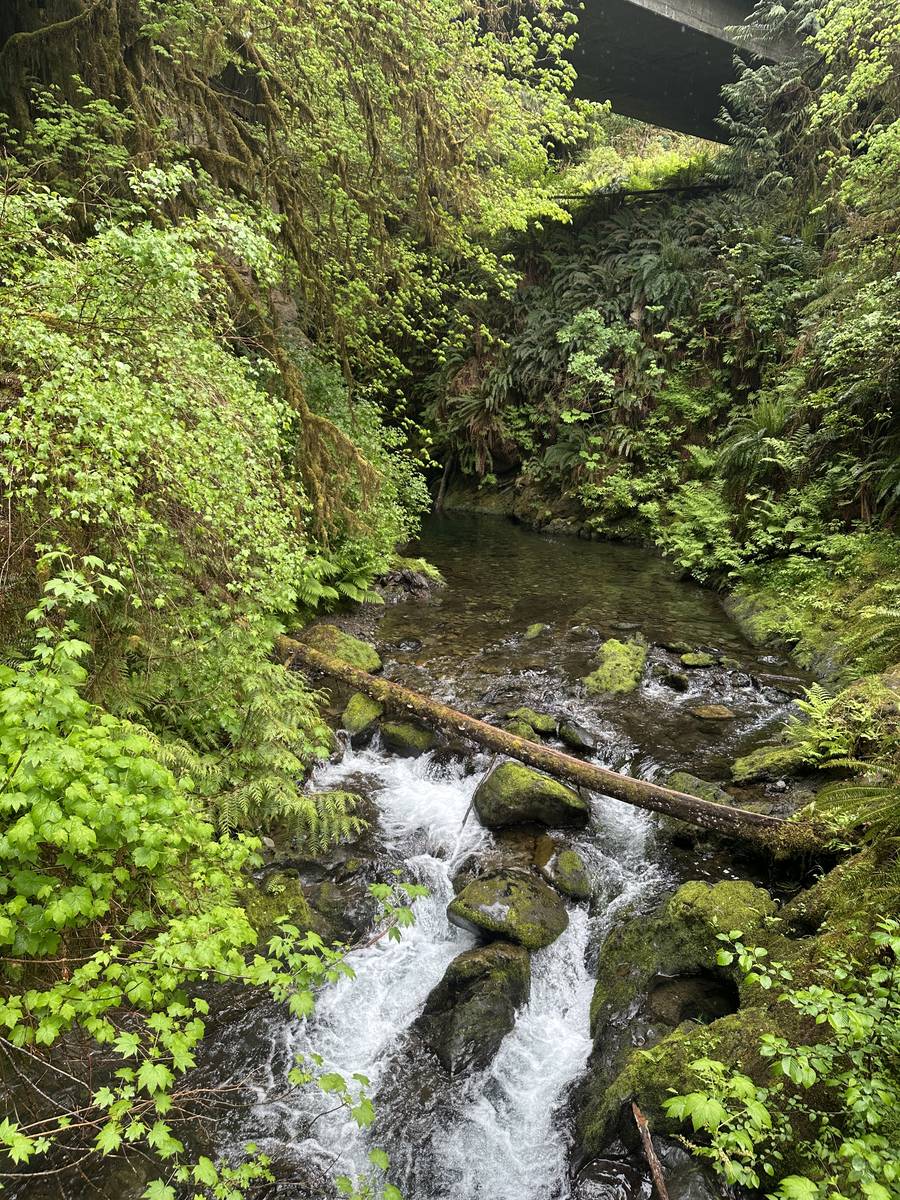 WA