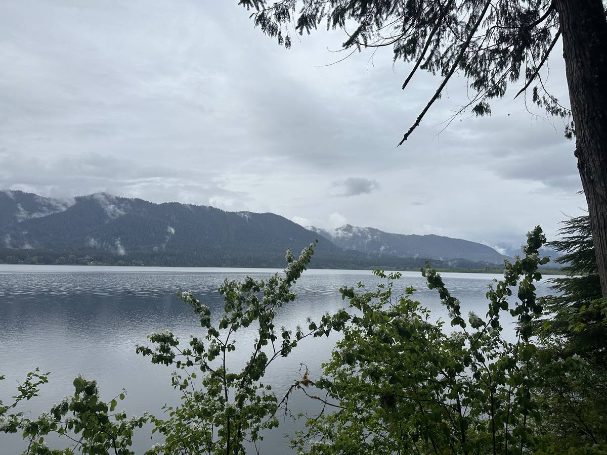 WA