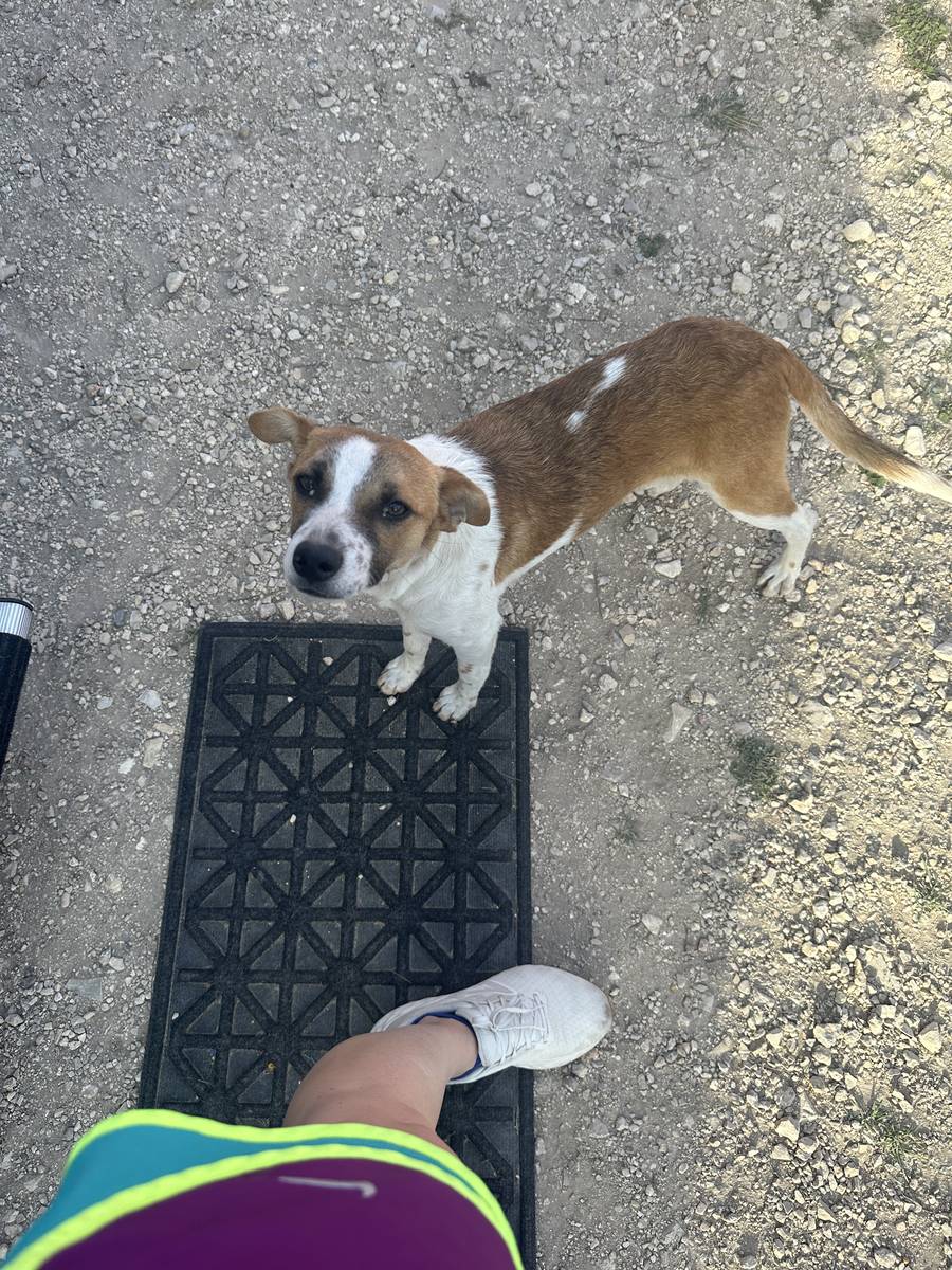 TX